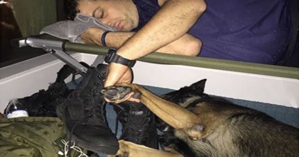 Camera Catches Florida Police Officer Holding Hands With K-9 Partner During Hurricane Irma