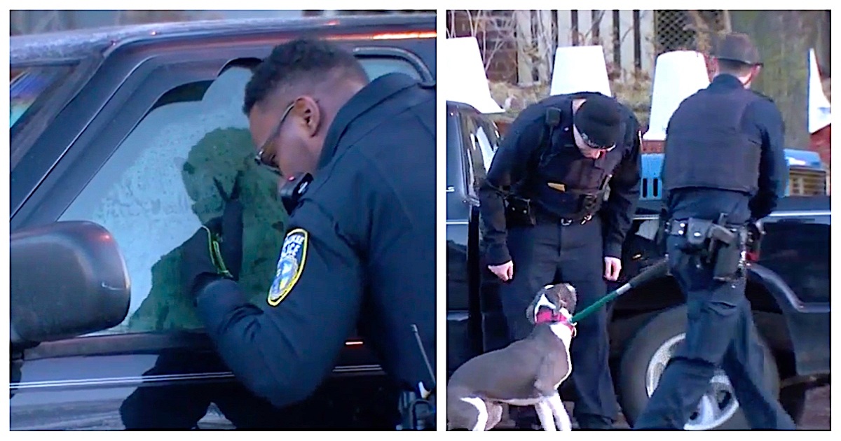 Cops Break Into Abandoned Truck After Citizen Warns Them A Dog Has Been Trapped Inside For Days