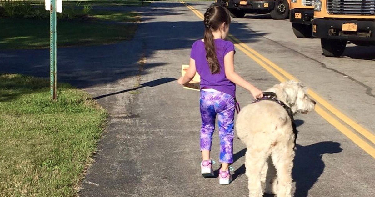 Department Of Justice Sues School To Keep Girl And Her Service Dog Together