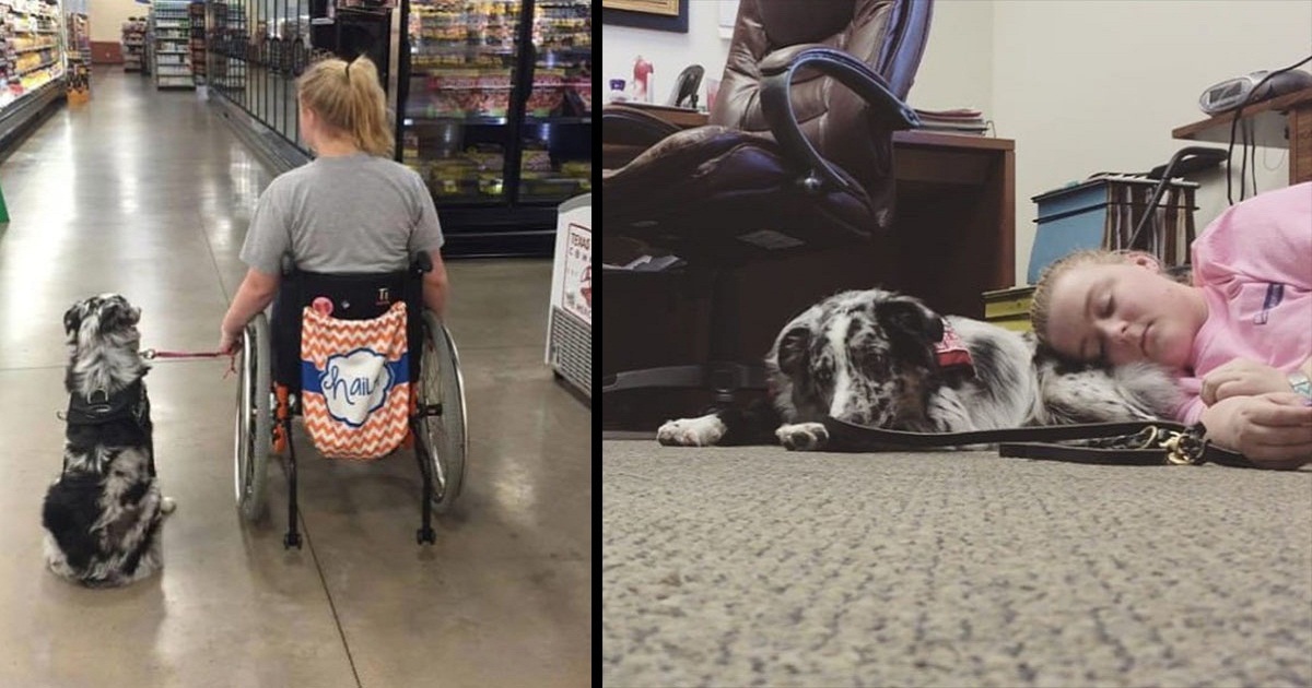 Teen Tells Stranger Not To Pet Her Service Dog And Has A Seizure When He Refuses To Listen