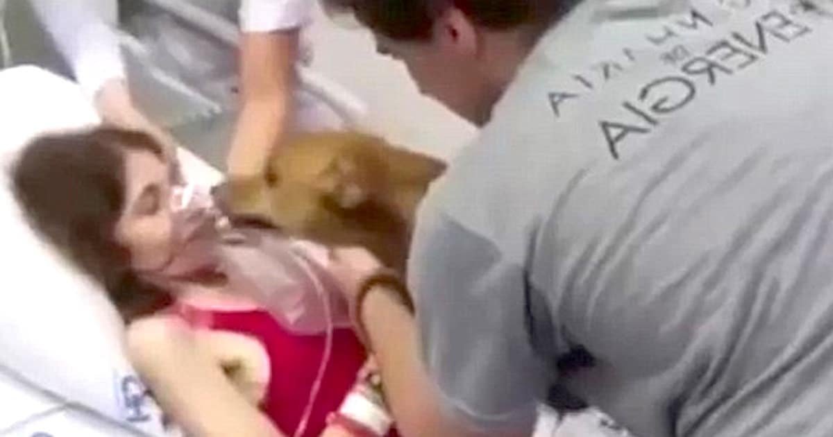 Terminally Ill Mom Gets Her Dying Wish And Reunites With Her Dog For The Last Time