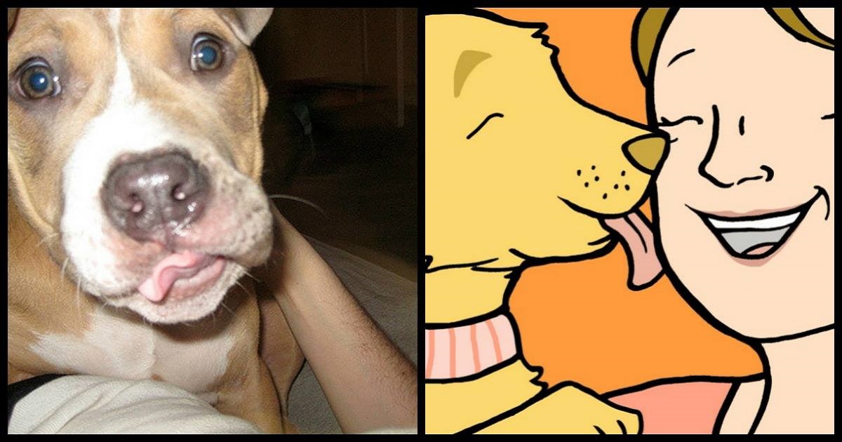 8 Reasons You Should Always Let Your Dog Kiss Your Face