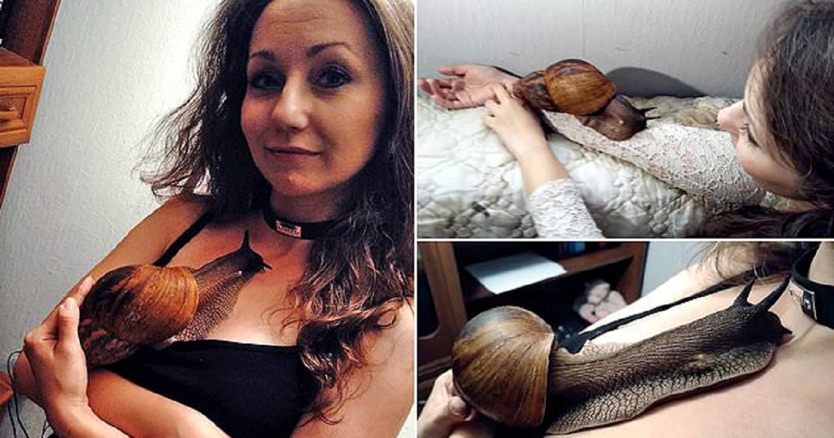 Woman Is Inseparable From Her Giant Snail Pet That’s Almost A Foot Long And Weighs More Than A Pound