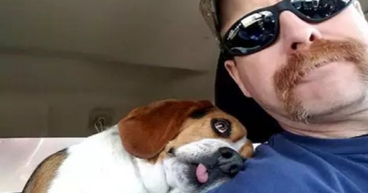 Beagle Does The Sweetest Thing After Being Saved From Euthanasia