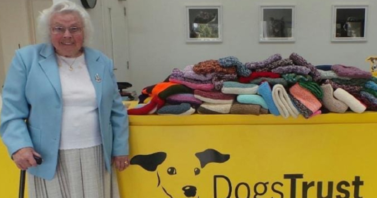 89-Year-Old Woman Has Knitted 450 Blankets & Sweaters For Shelter Dogs