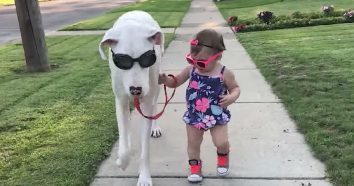 A Little Girl And Her Disabled Dog Share A Bond That’s Being Recognized Worldwide