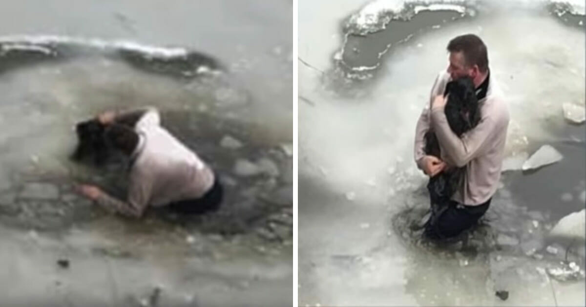 Man Saves Crying Dog From Drowning Into Ice Cold Water
