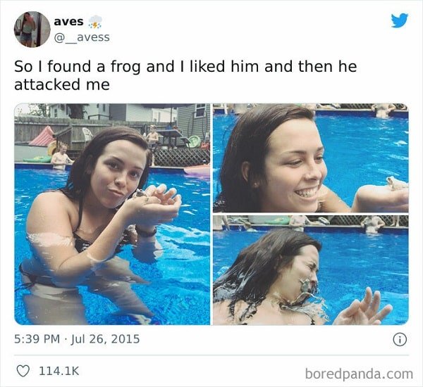 funny frog