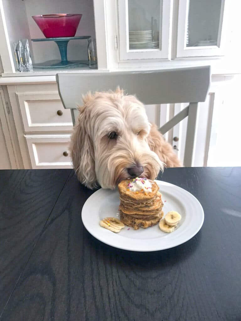 dogs eat banana pancakes