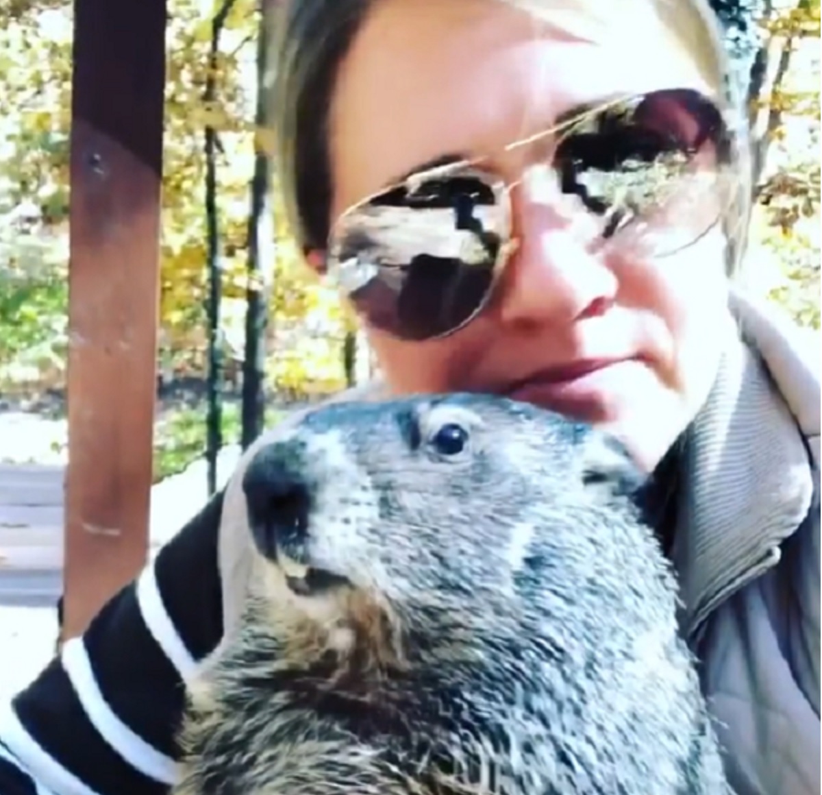 Wild Groundhog Won’t Let Woman Go Home Without Her