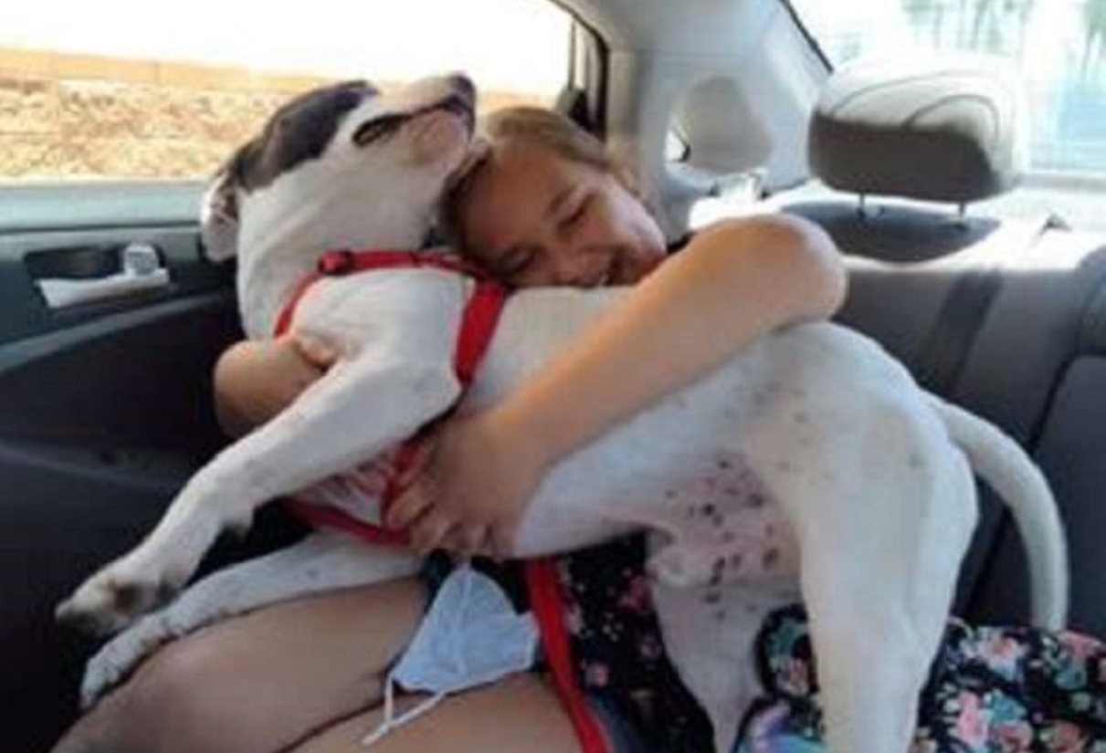 Mom Surprises Her Little Girl With A Shelter Dog She Saw Online and Breaks Down In Tears