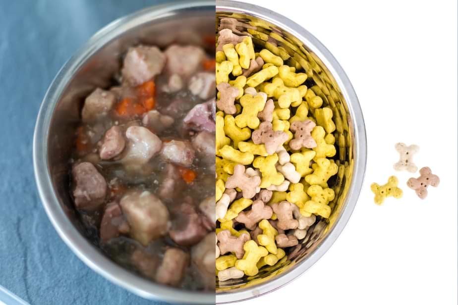 Wet or Dry dog Food