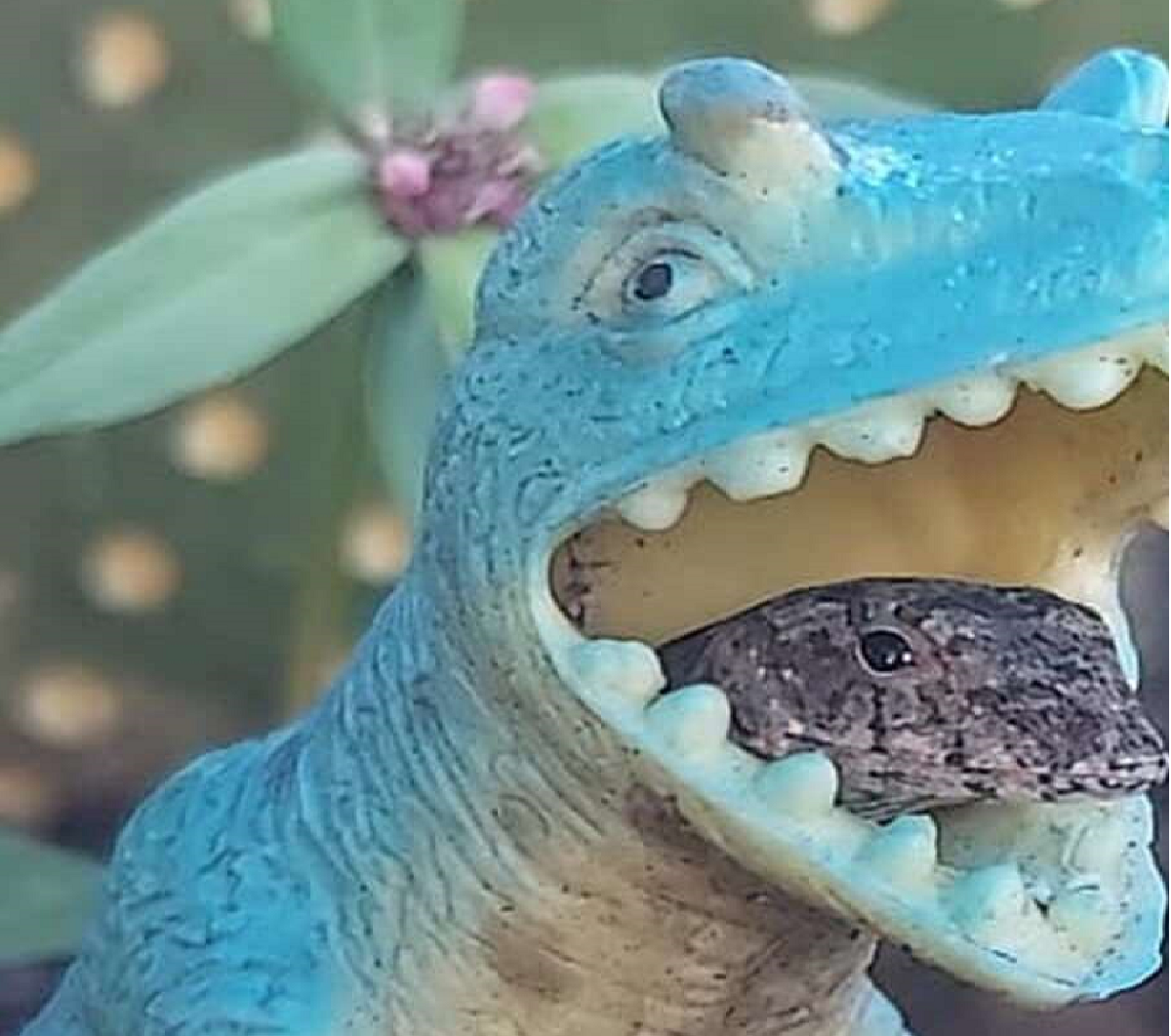 Little Lizard Finds The Perfect New Home Inside A Plastic Dinosaur