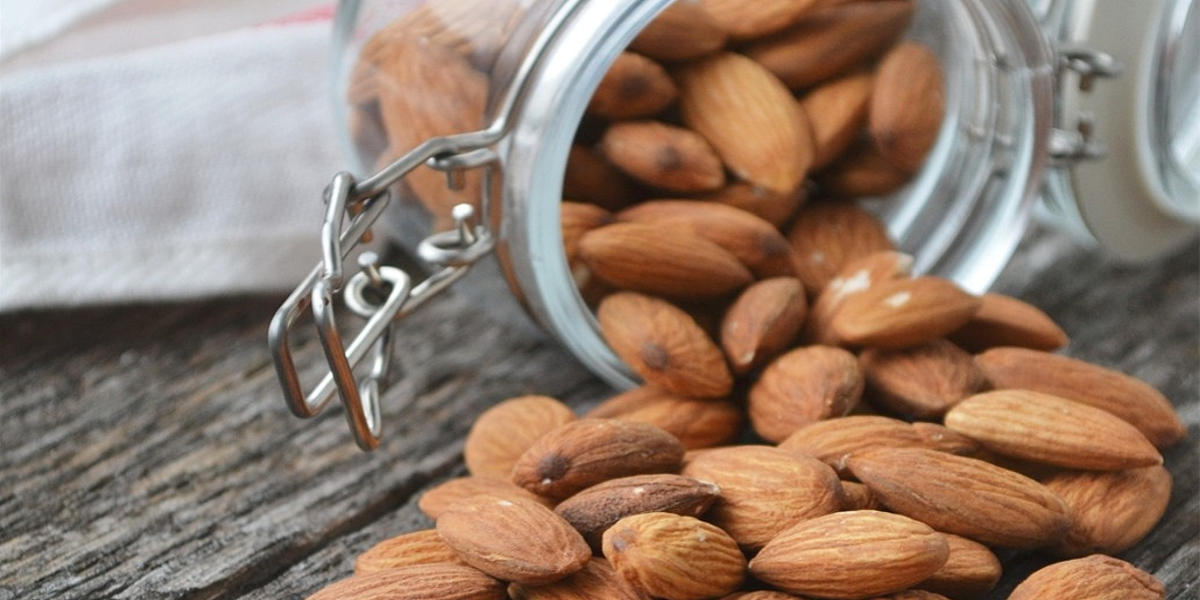 Can Dogs Eat Almonds? What We Need To Know 2024
