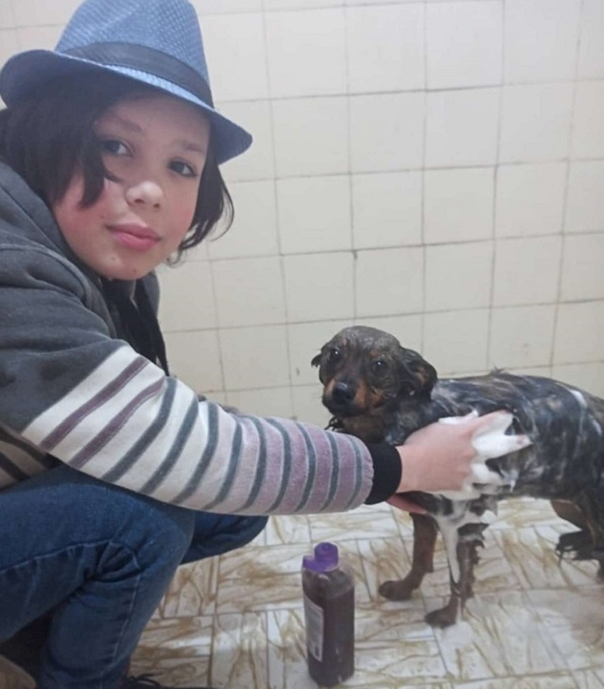 Boy Spends His Free Time Giving Stray Dogs Baths To Help Them Get Adopted