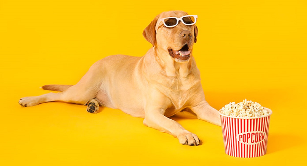 Can Dogs Eat Popcorn Safely?