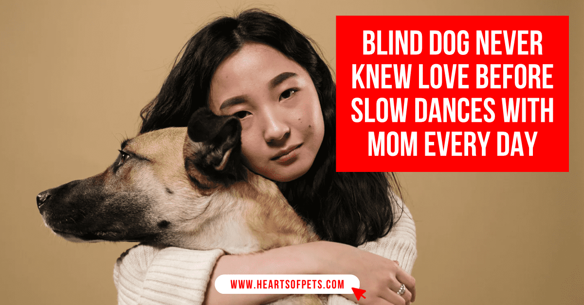 Blind Dog Never Knew Love Before Slow Dances With Mom Every Day