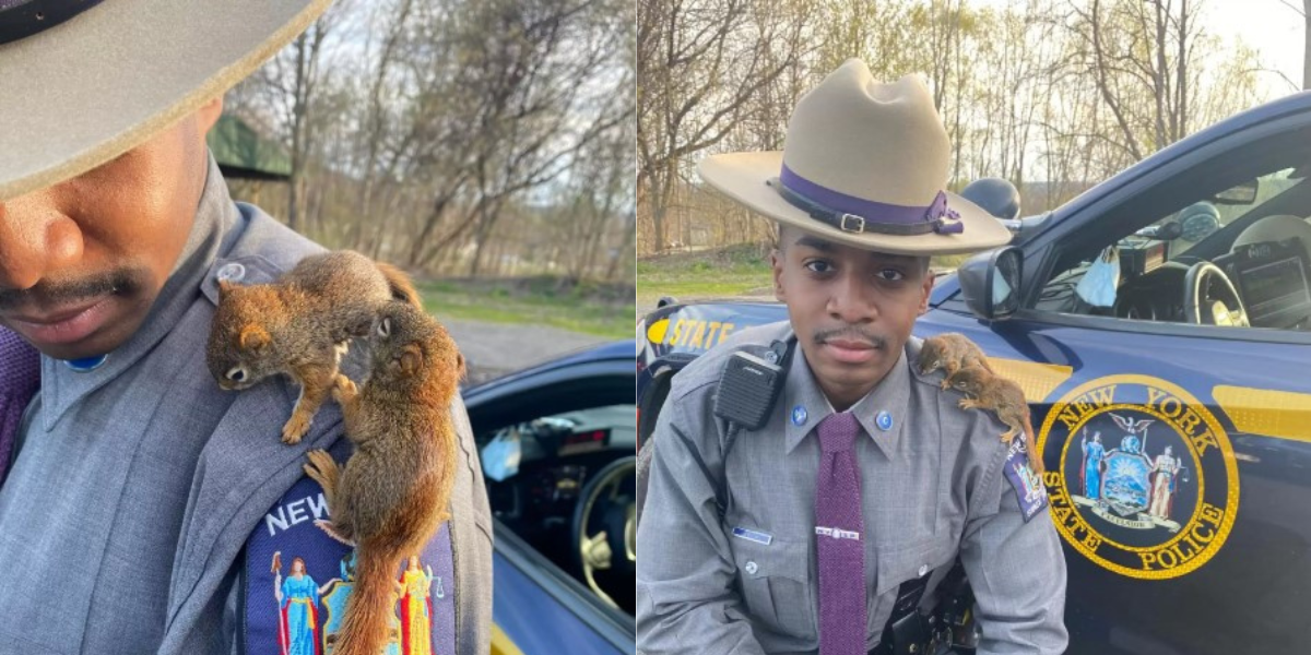 Cop Found Baby Squirrels on the Road And Made New Friends