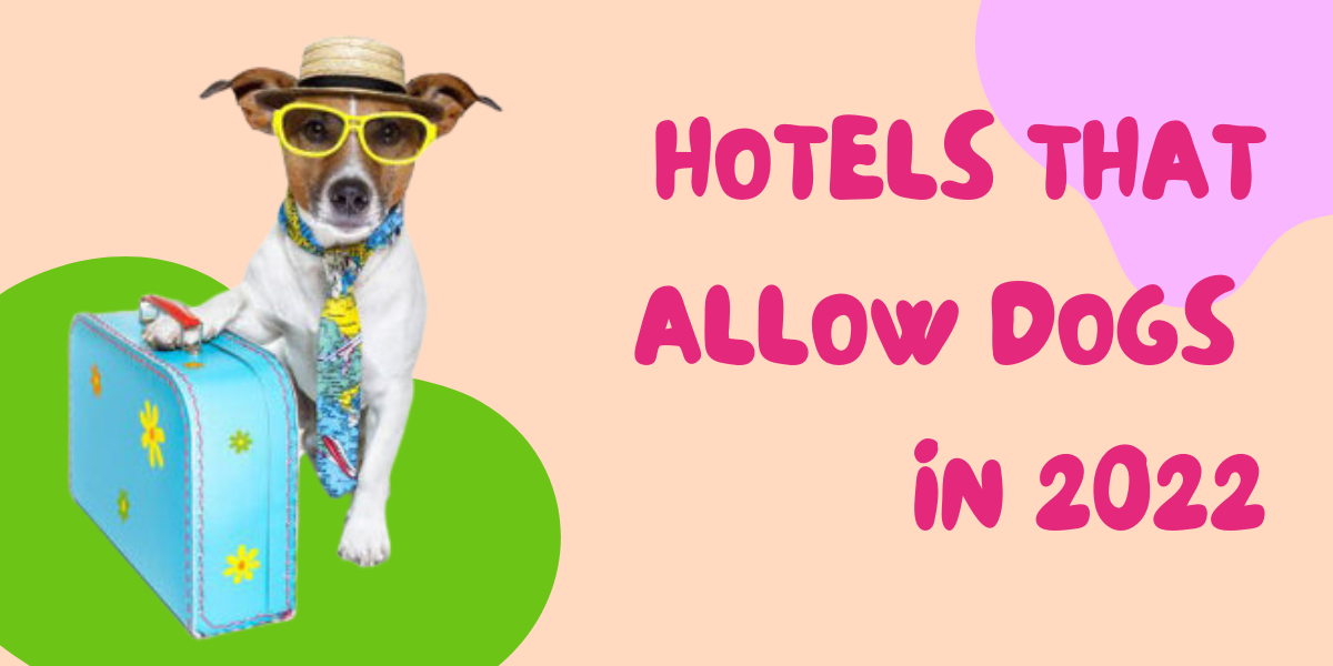 hotels that allow dogs
