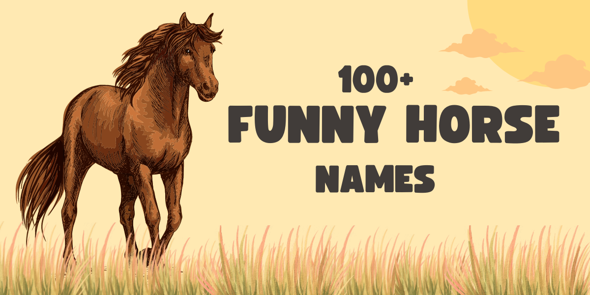 funny horse names