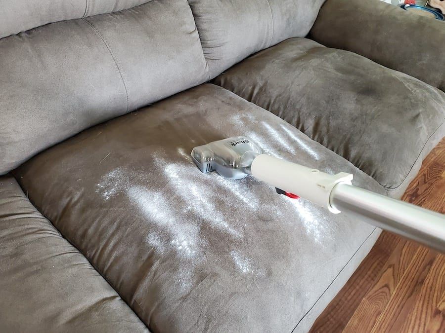 How to get dog smell out of couch