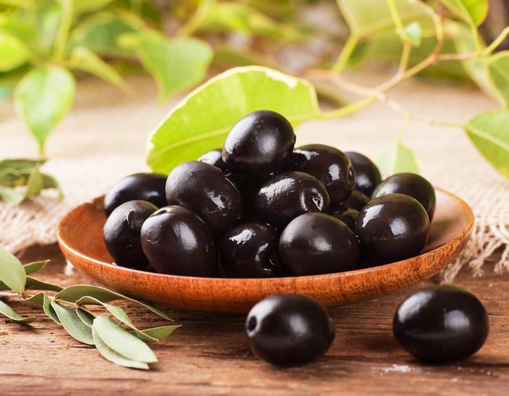 Can dogs eat olives
