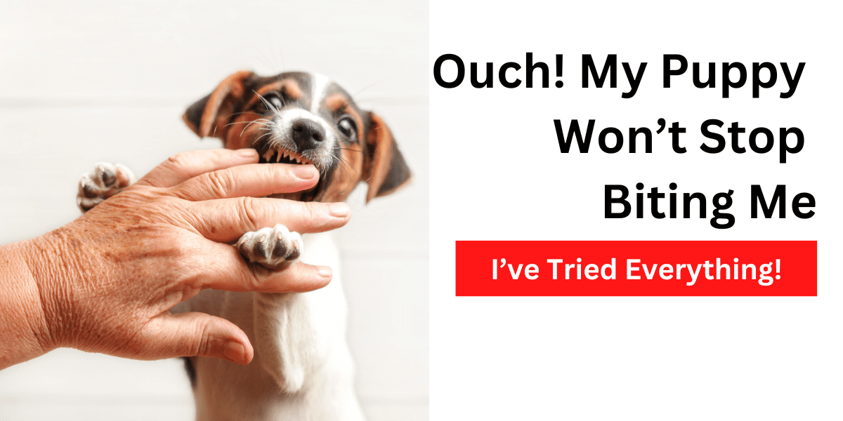 Ouch! My Puppy Won’t Stop Biting Me, I’ve Tried Everything!