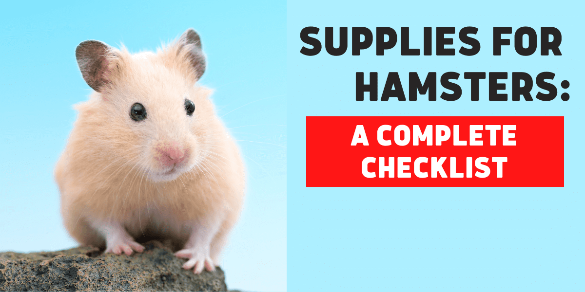Supplies for Hamsters