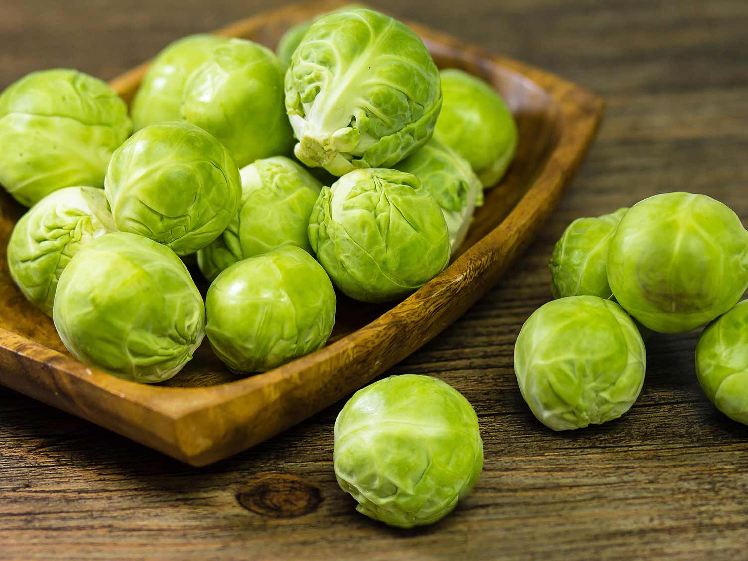 Can dogs eat brussel sprouts