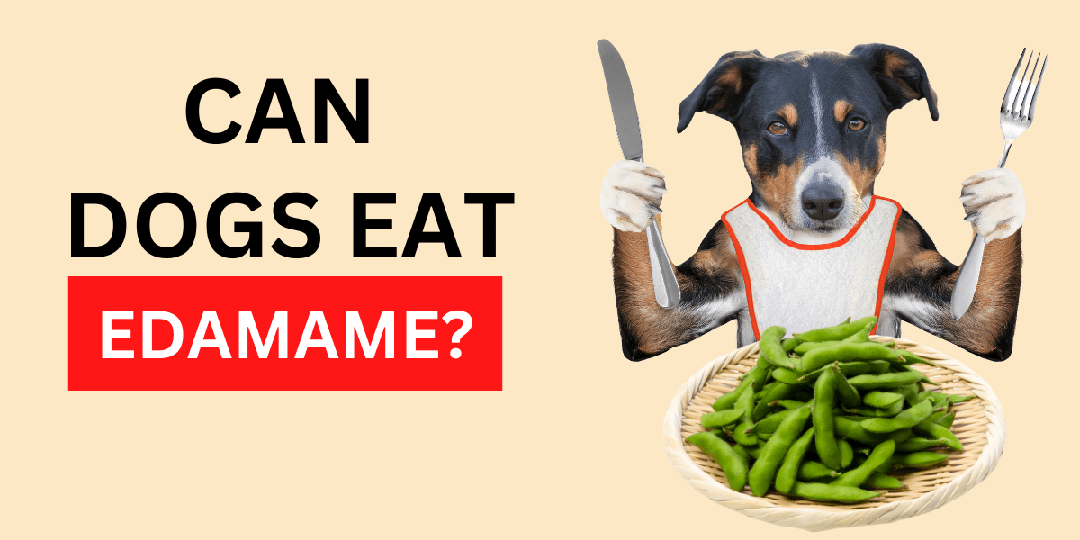 Can dogs eat edamame