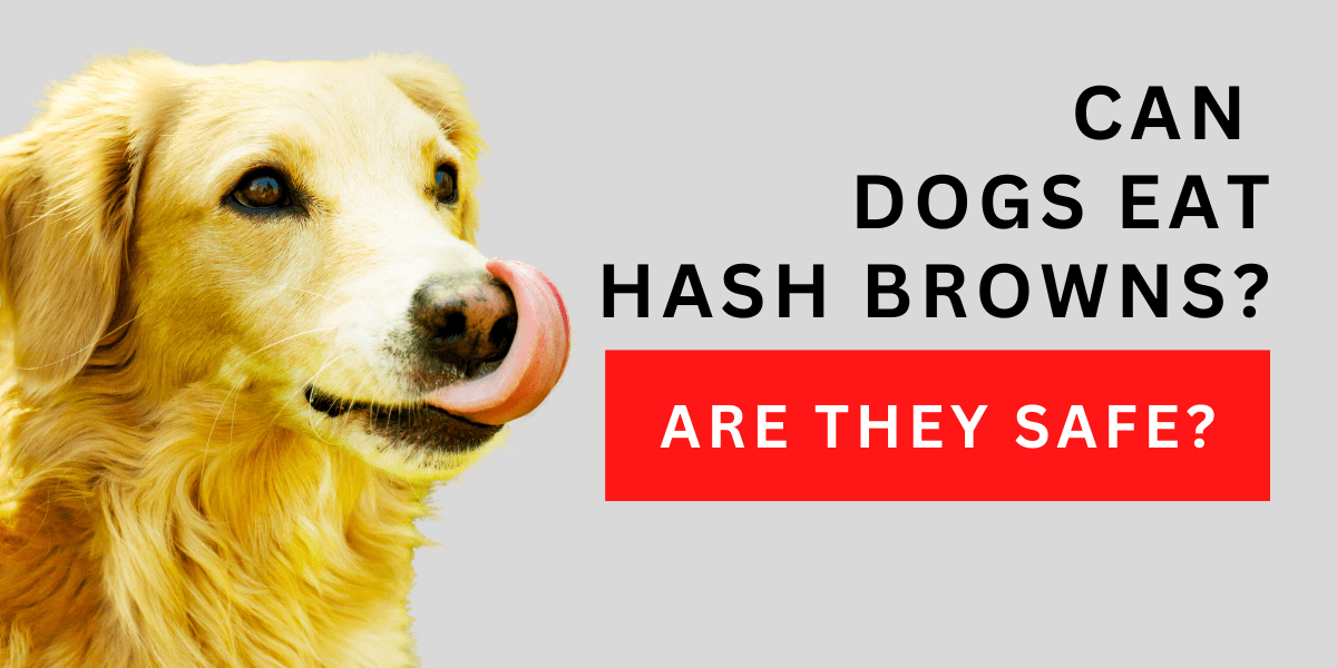 Can Dogs Eat Hash Browns? Are They Safe? 2024