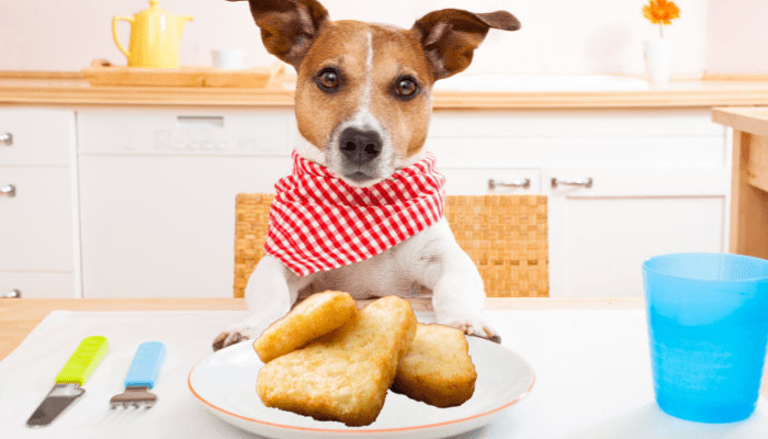 Can dogs eat hash browns