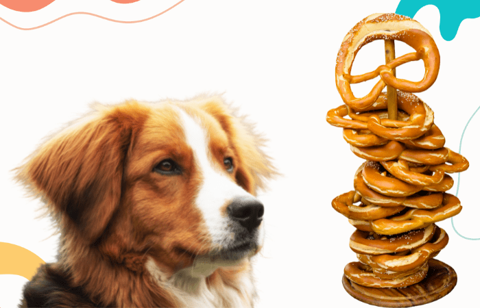 Can dogs eat pretzels
