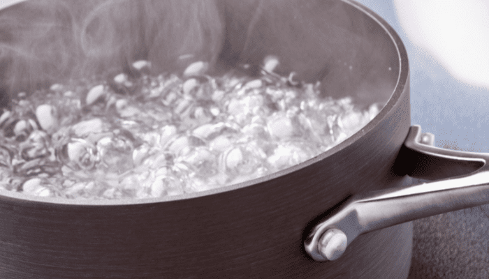 How to boil chicken for dogs