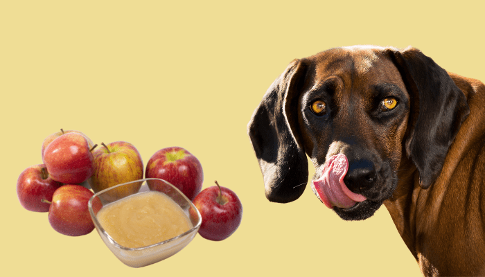 Can dogs eat applesauce