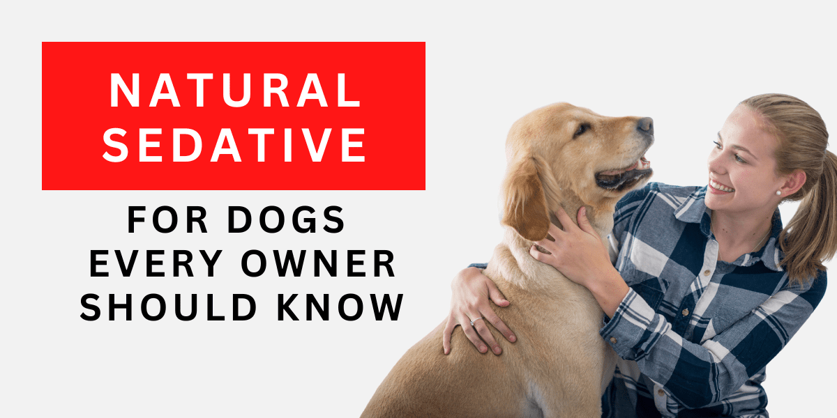 Natural Sedative for Dogs Every Owner Should Know 2022
