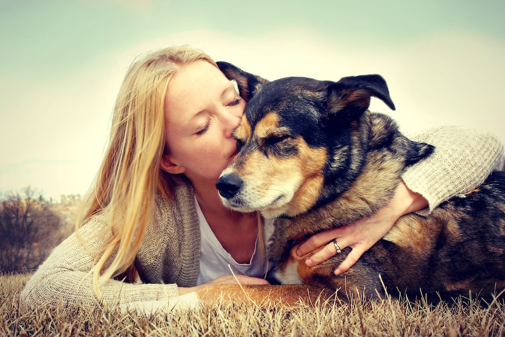 Signs your dog trusts you
