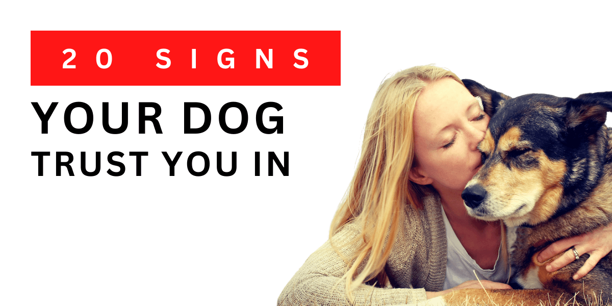 20 Signs Your Dog Trusts You In 2022