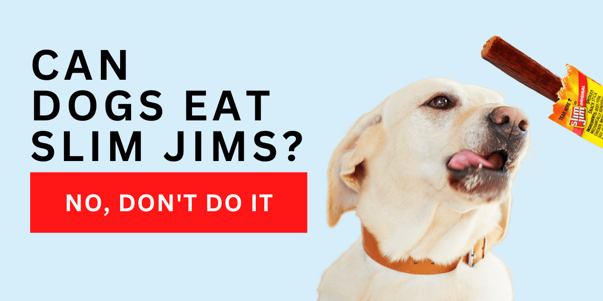 Can Dogs Eat Slim Jims? No, Don’t Do it. 2024