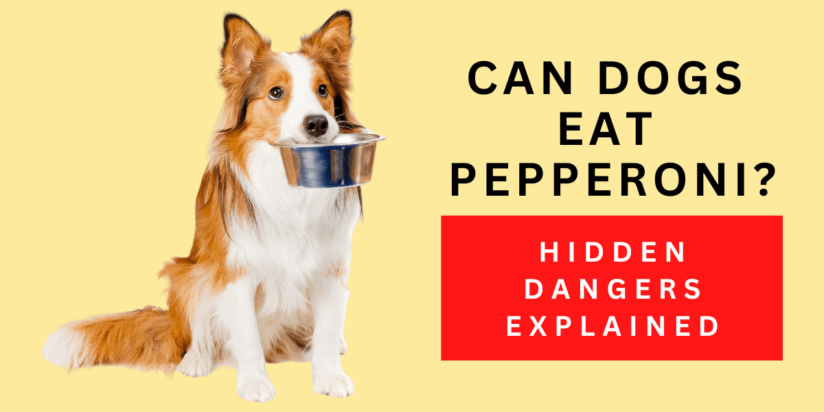 Can Dogs Eat Pepperoni? Hidden Dangers Explained 2024