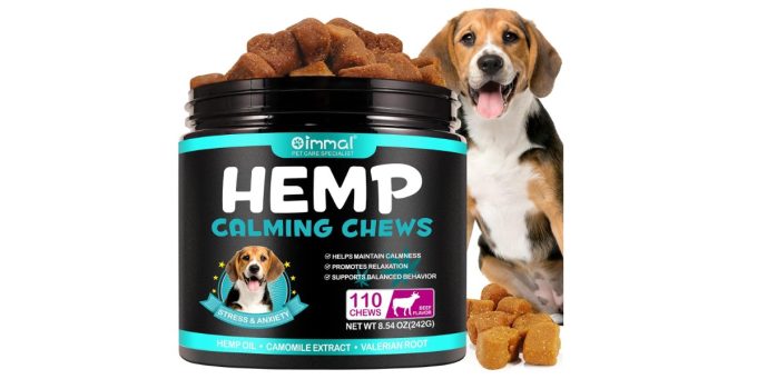 Best Calming Treat for Dogs: Top Picks for a Relaxed Pup