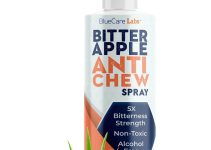 The Best Spray to Stop Dog Licking Paws: Top 8 Picks in 2024
