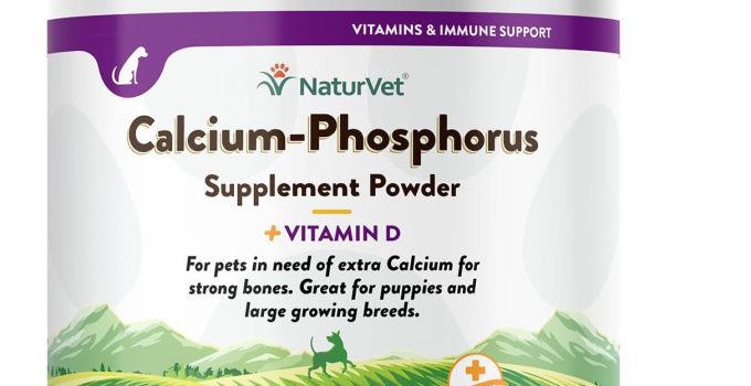 Best Calcium Supplement for Dogs: Top Picks for 2024