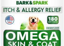 Best Coat Supplement for Dogs: Top Picks for a Shiny and Healthy Coat