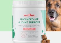Best Hip and Joint Supplement for Dogs: Top Picks for 2024
