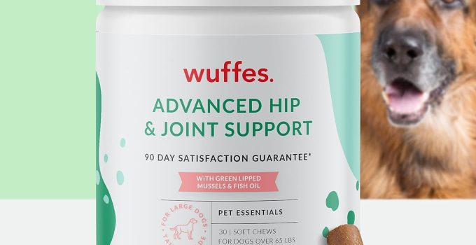 Best Hip and Joint Supplement for Dogs: Top Picks for 2024