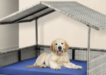 The Best Indoor Dog House for Comfortable Living 2024