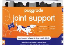 Best Joint Supplement for Dogs with Hip Dysplasia: Top Picks in 2024