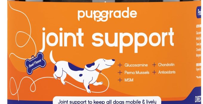 Best Joint Supplement for Dogs with Hip Dysplasia: Top Picks in 2024