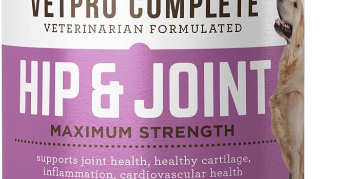 Best Joint Supplement for Large Dogs in 2024